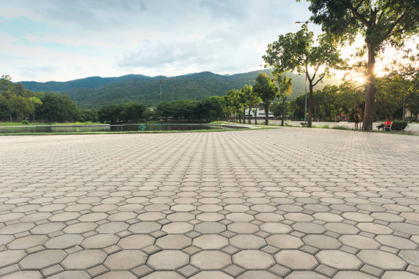 Best Best Driveway Pavers  in Demopolis, AL